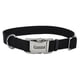 thumbnail image 1 of Collar para perro Coastal con hebilla metálica ajustable, 2 x 36 cm, color negro, 1 of 7