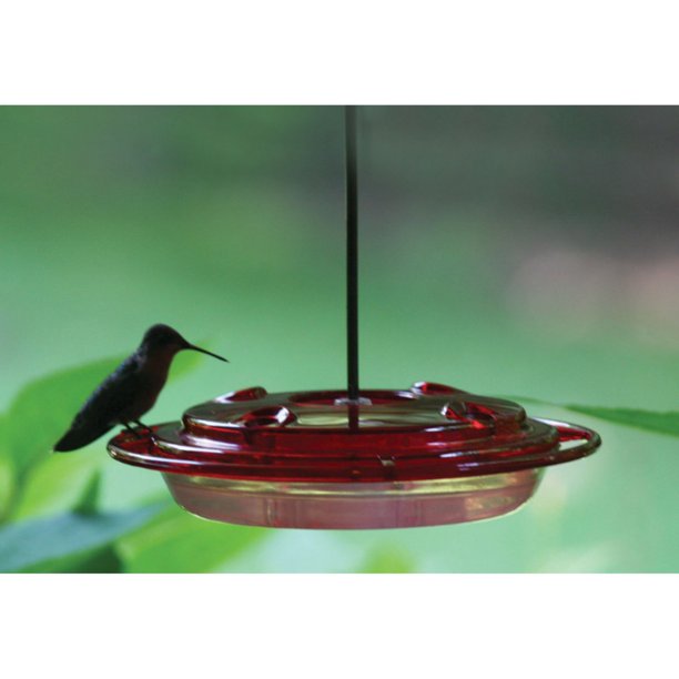 Birds Choice 8 oz. Hummerfest Hummingbird Feeder - Walmart.com