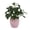 Pink, variant on Mainstays 11" Artificial Peperomia Plant in Pink Ribbed Glazed Ceramic Pot