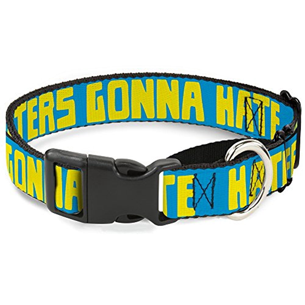 Buckle-Down Haters Gonna Hate Turquoise Yellow Martingale Dog Collar