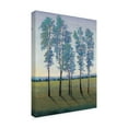 thumbnail image 2 of Trademark Fine Art 'Acreage II' Canvas Art by Tim OToole, 2 of 4