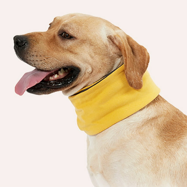 Dog infinity cheap scarf