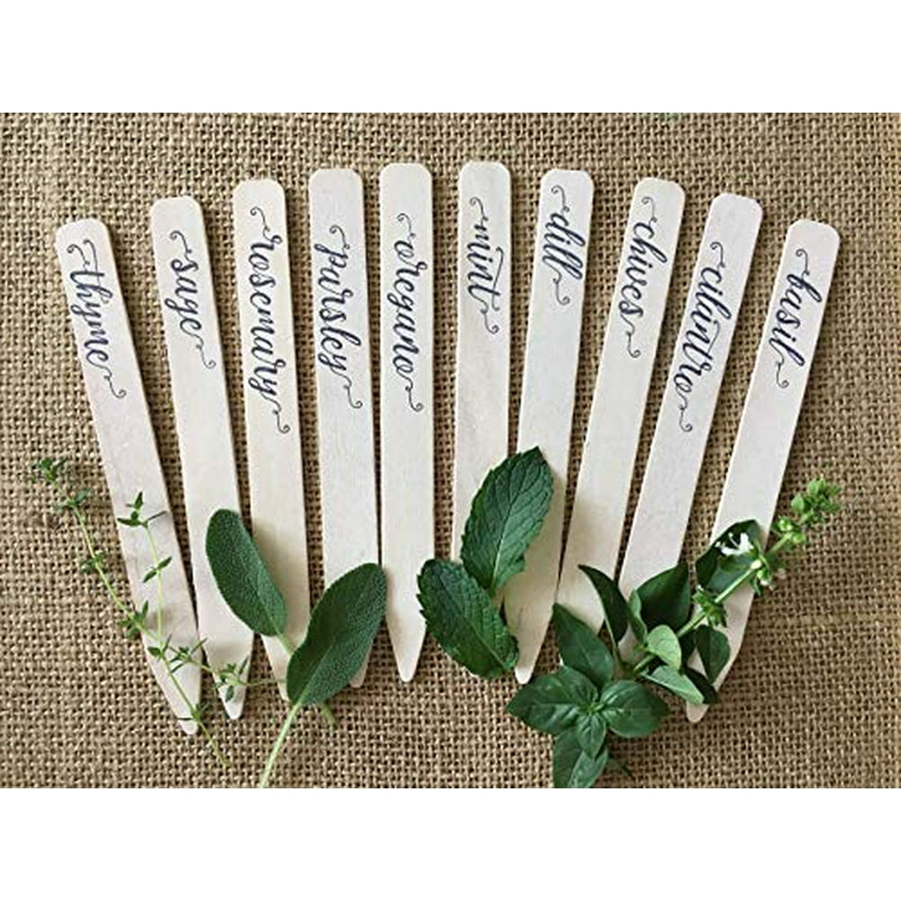 Plantid Assorted 10Pack Kitchen Herbs! Farmhouse Decor Outdoor Indoor Herb Garden Stakes, Plant