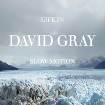 David Gray - Life in Slow Motion (Deluxe 20th Anniversary Edition) Blue - Music & Performance - Vinyl