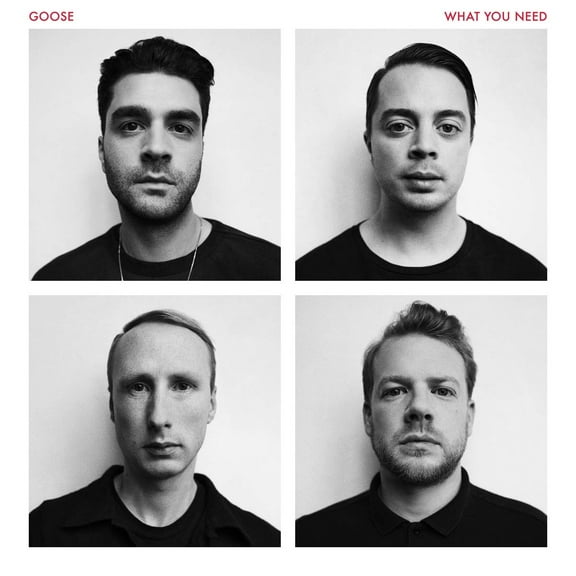 Goose What You Need (Vinyl Record)