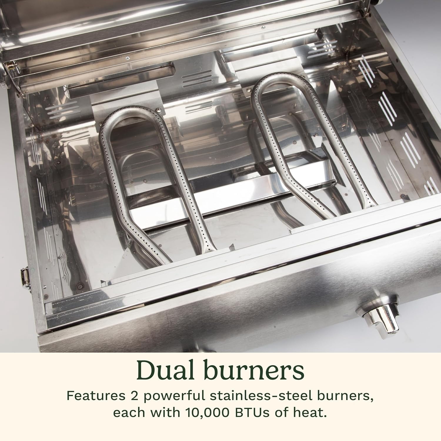 Cuisinart Chef's Style Stainless 2 Burner Tabletop Portable Gas Grill, Silver