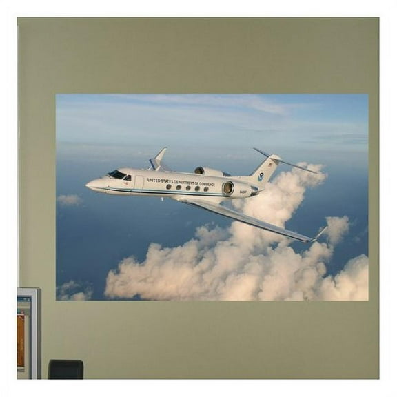 Wallhogs Gulfstream 2 Wall Mural