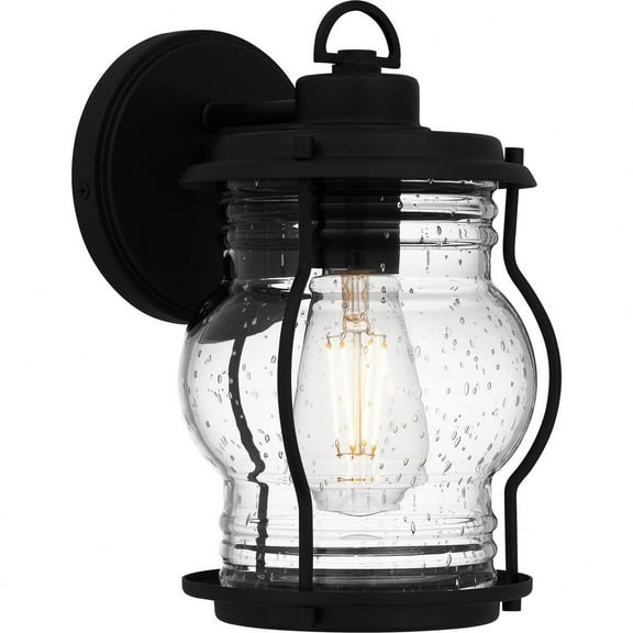 Quoizel Luther 1-Light Earth Black Outdoor Wall Lantern