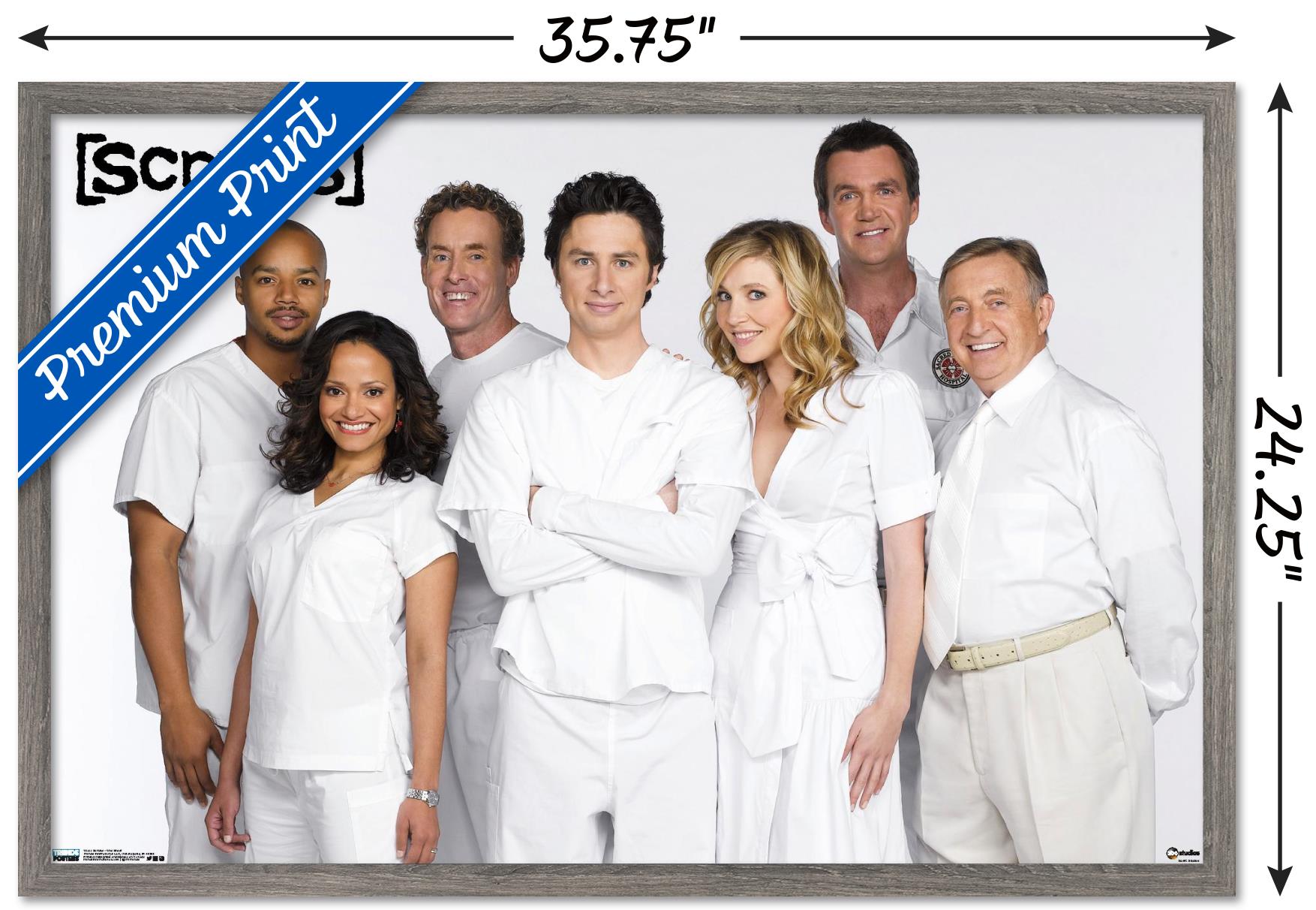 Scrubs - One Sheet Wall Poster, 22.375" x 34", Framed