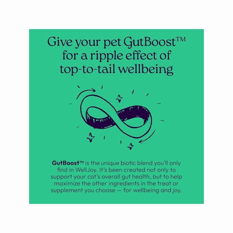 WellJoy Dual-Benefit Dental+ GutBoost Cat Treats, 3.2 oz photo 8