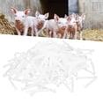 thumbnail image 4 of Obstetrical Kit  Umbilical Cord Clip, Pig Umbilical Cord Clamp, Cattle For Pig Lamb, 4 of 8