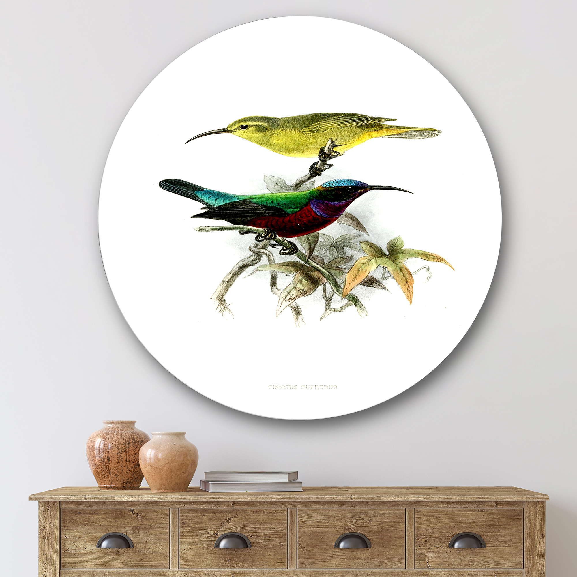 Designart 'Ancient Australian Birds XV' Traditional Circle Metal Wall Art 29x29 - Disc of 29