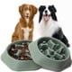 thumbnail image 1 of Plato para Perro Weeksun Azul Antideslizante y Comida Lenta para Perros Pequeños y Medianos, 1 of 7