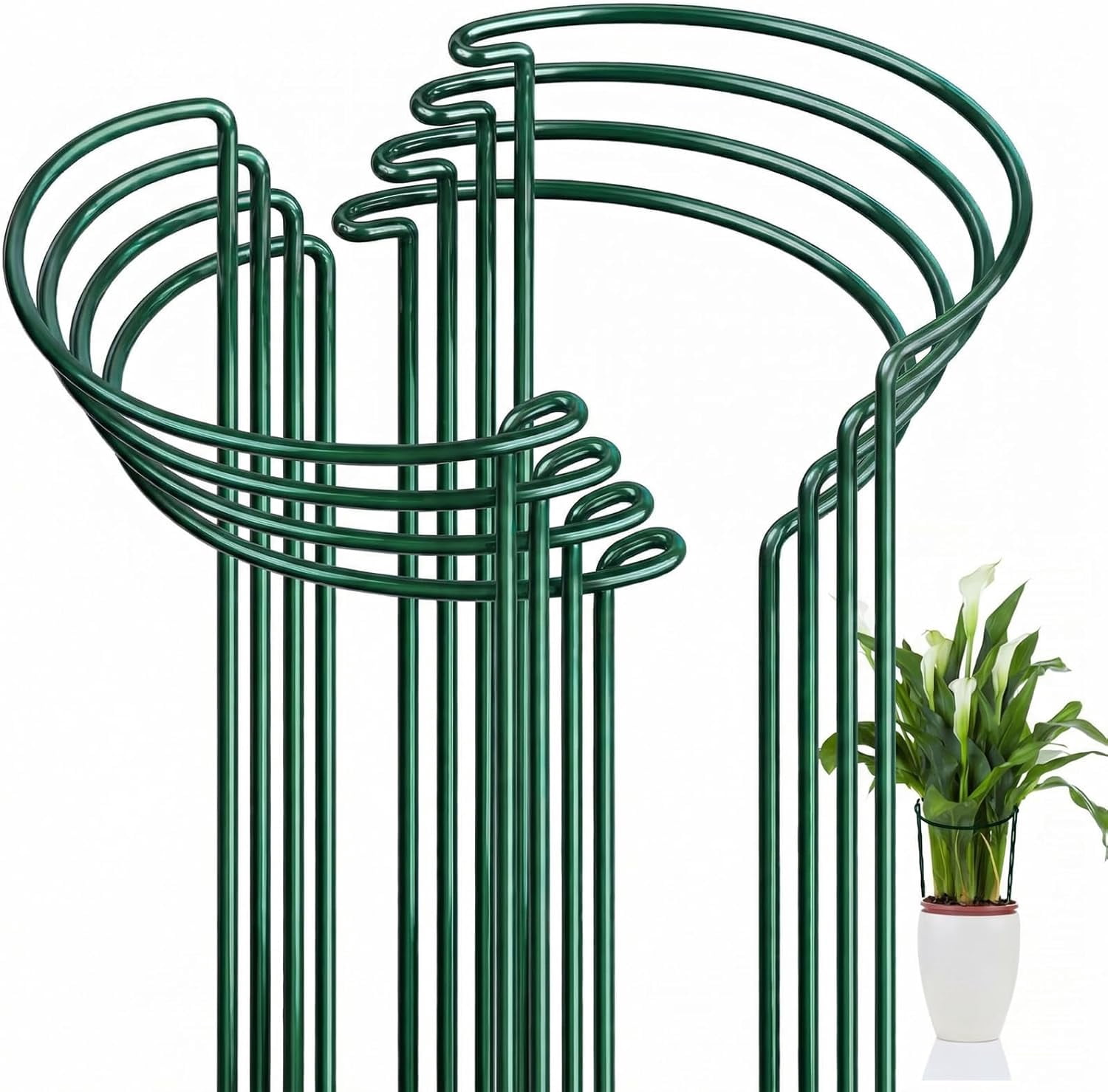 8 Pack Garden Plant Support Stakes, Metal Half Round Plant Rings - Durable Tomato, Hydrangea and Outdoor Indoor Plant Cages 10" x 16" Green