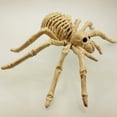 thumbnail image 2 of Modelo de esqueleto de araña modelo de esqueleto realista horrorizado para decoración de Halloween, 2 of 6
