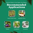 thumbnail image 4 of Michigan Peat Garden Magic Organic Planting Potting Soil, 40 Pound Bag (8 Pack), 4 of 11