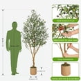 thumbnail image 2 of 7ft/8ft Faux Olive Tree, Tall Olive Tree Plants, Fake Potted Olive Silk Tree, Artificial Olive Trees for Modern Home Office Living Room Floor Decor, 2 of 6
