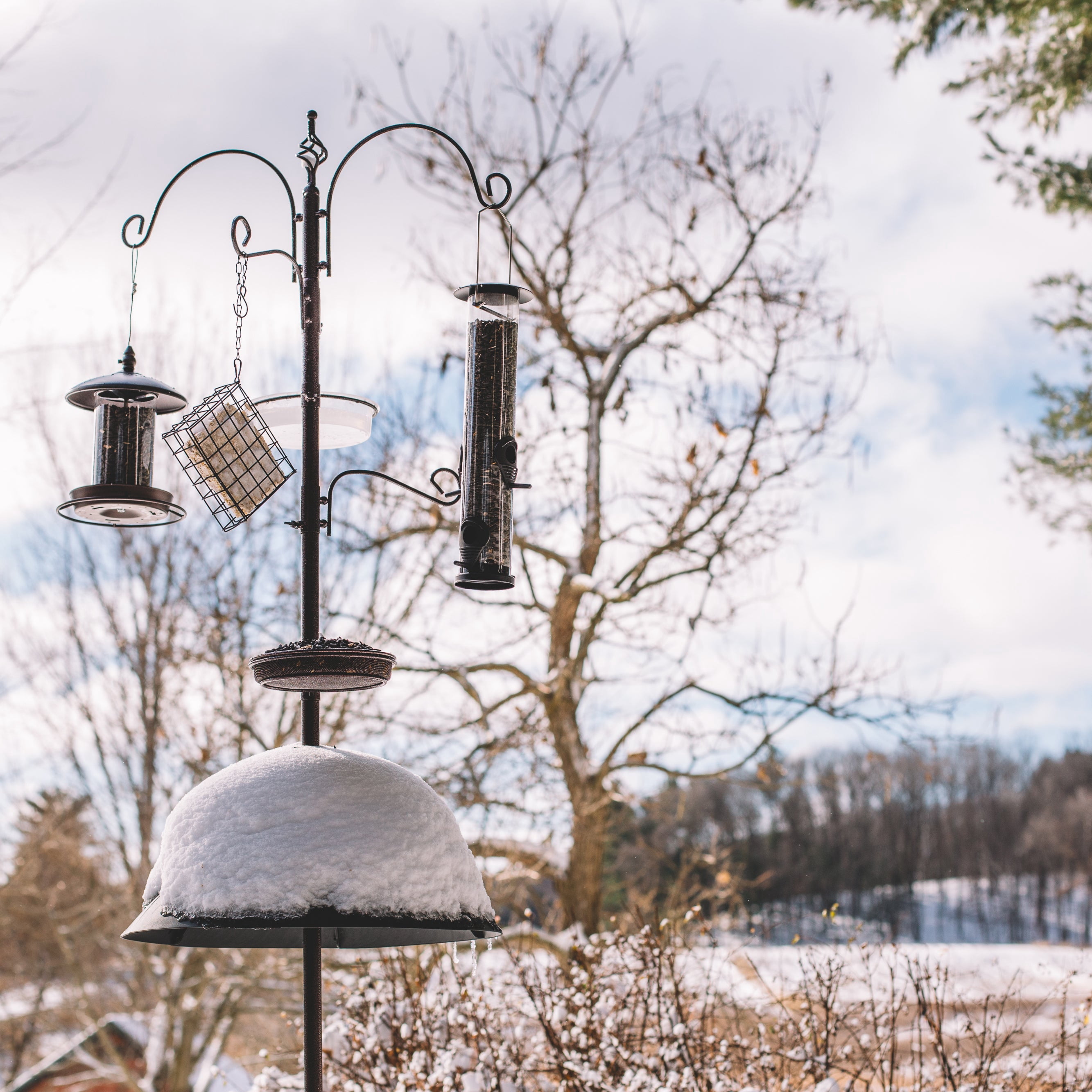 Backyard Expressions Heavy Duty Bird Feeding Station Kit w/Squirrel Baffle - 90" Bird Feeder Pole with 5 Prong Base, Suet Feeder, Mesh Feeding Tray, 4 Feeder Hooks, Water Dish - Black