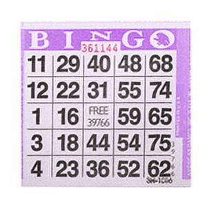 American Games Bingo Sets, Purple, 500 Count