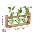 thumbnail image 2 of Guozer Clearance Wall Planters for Indoor Hydroponic Plant Propagation Stations Glass Vase with Wooden Stand, 2 of 2