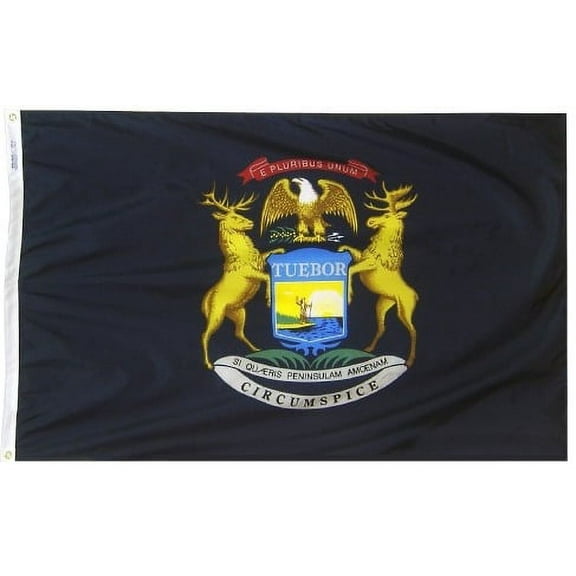 3x5' Michigan Heavy Weight Nylon Flag From All Star Flags