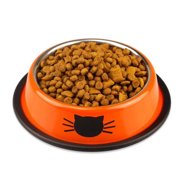 Pet Supplies : Dog Bowls, Cat Food and Water Bowl Set, 2 Stainless
