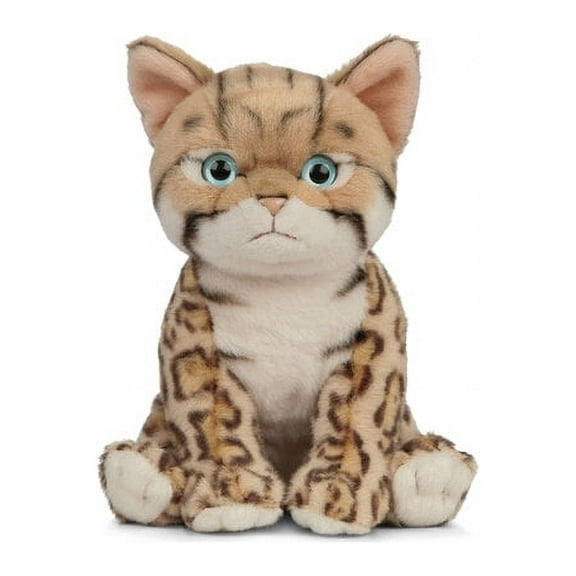 Living Nature Bengal Kitten