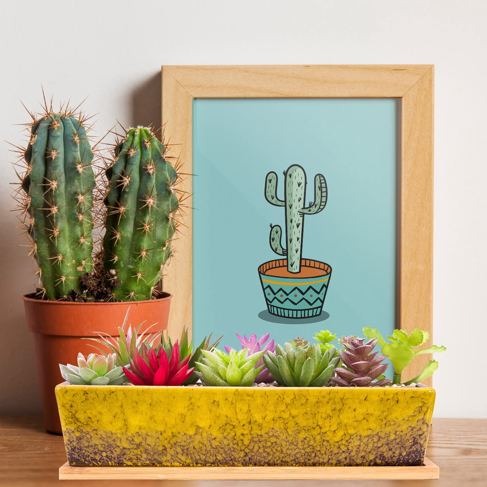 Succulent Planter Pots Large Rectangular Ceramic Cactus Flower Pot with Drainage and Bamboo Tray 12 Inch Shallow Bonsai Window Box for Home Garden Decor