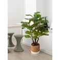 thumbnail image 6 of Faux Fiddle Leaf Fig Tree, 6 of 7