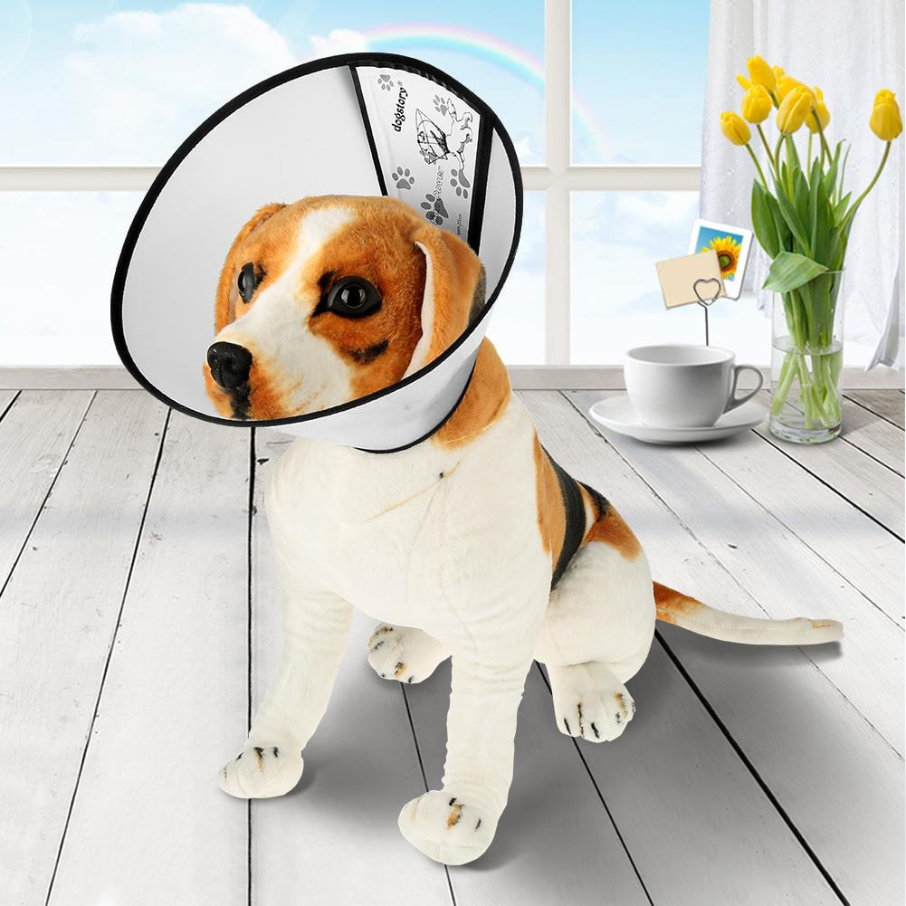 dog anti scratch collar