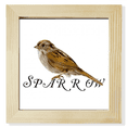 thumbnail image 1 of Compagnons de Nourriture Moineaux Oiseaux Carré Cadre Photo Mur Présentoir de Table, 1 of 3