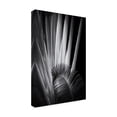 thumbnail image 2 of Aledanda 'Tropical II' Canvas Art, 2 of 3