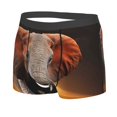 thumbnail image 2 of Bingfone Elephant Sunset In Kenya Men'S Underwear - Casual Stretch Boxer Briefs-Medium, 2 of 9