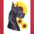 thumbnail image 3 of CafePress - C Blk Sunflower Dark T Shirt - Men's Classic Graphic Cotton T-Shirt, 3 of 4