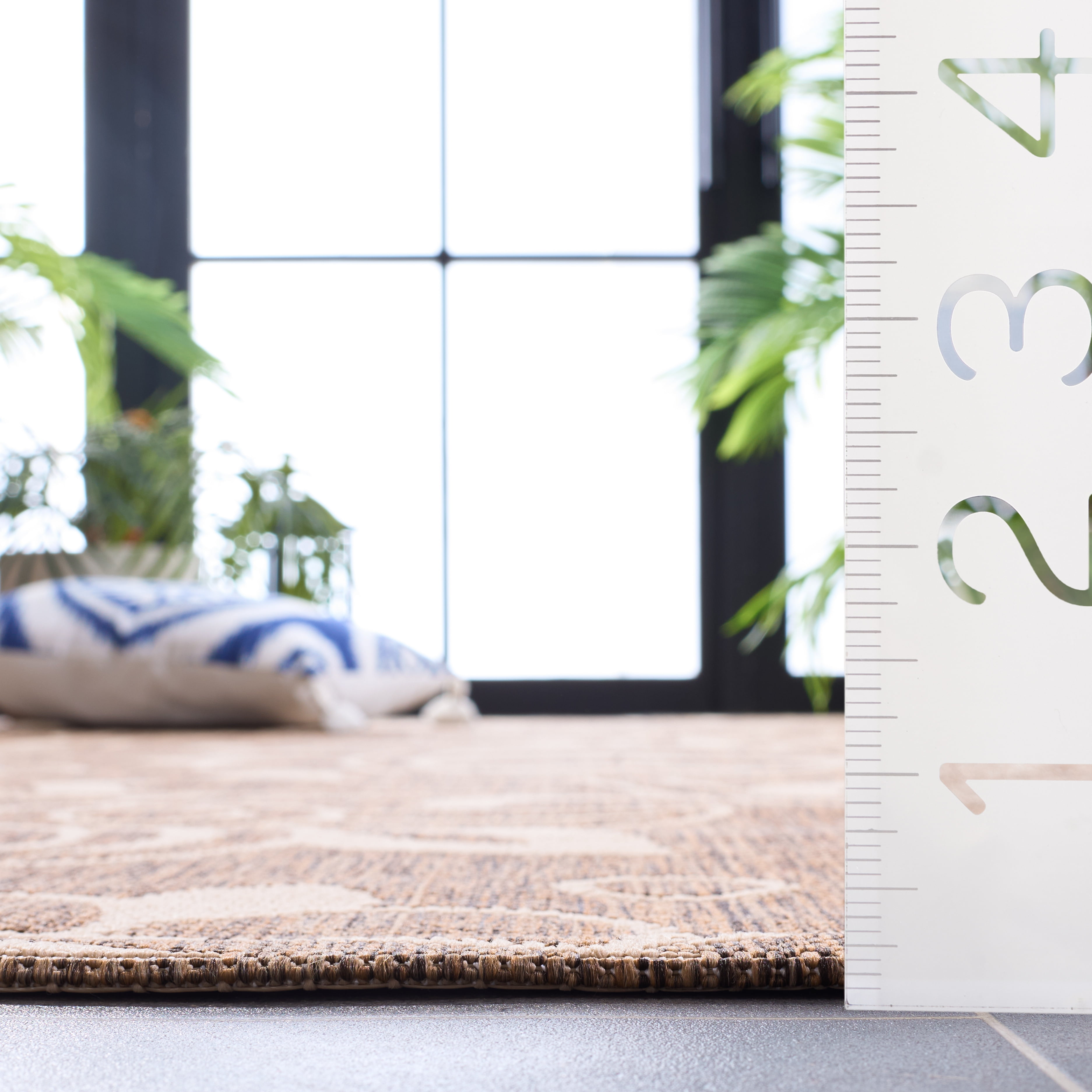 SAFAVIEH Beach House Robynne Botanical Indoor/Outdoor Area Rug, Brown/Beige, 8' x 10'