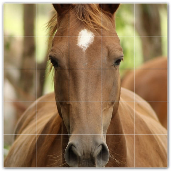 Picture-Tiles.com: Horse Ceramic Tile Wall Mural WAL500746-55XL. 60"W x 60"H using (25) 12" x 12" Ceramic Tiles-Satin Finish