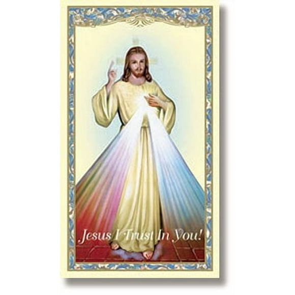 Divine Mercy Holy Card 100/pk