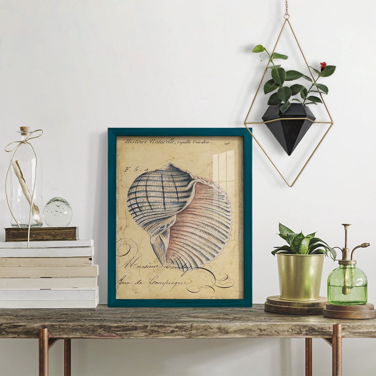 Seashell Ephemera V - Framed Print w/glass - Ocean Blue