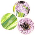 thumbnail image 3 of BRIGHTFUFU 6Ud Ramo Simulado De Violetas Ideal Para Decorar Bodas Y Ambientes En Casa, 3 of 5