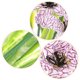 thumbnail image 3 of BRIGHTFUFU 6Ud Ramo Simulado De Violetas Ideal Para Decorar Bodas Y Ambientes En Casa, 3 of 5