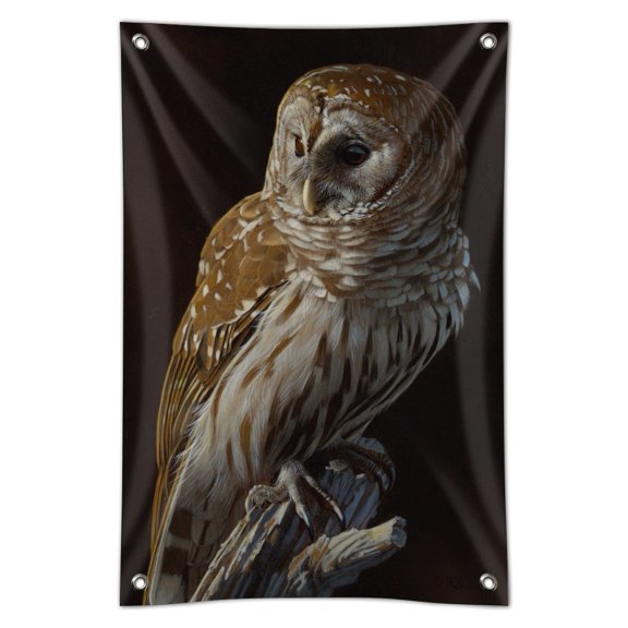 Barred Owl on Tree Branch Home Business Office Sign