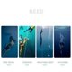 thumbnail image 5 of Buceo Cinturón de nailon con adhesivo de acero inoxidable, correa con anilla en D, equipo deportivo, submarino, 1,5 pulgadas, 5 of 5