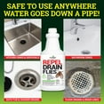 Drain Fly Killer, Natural Fruit Fly Treatment, Eliminates Odor and Drain Flies for Kitchen and