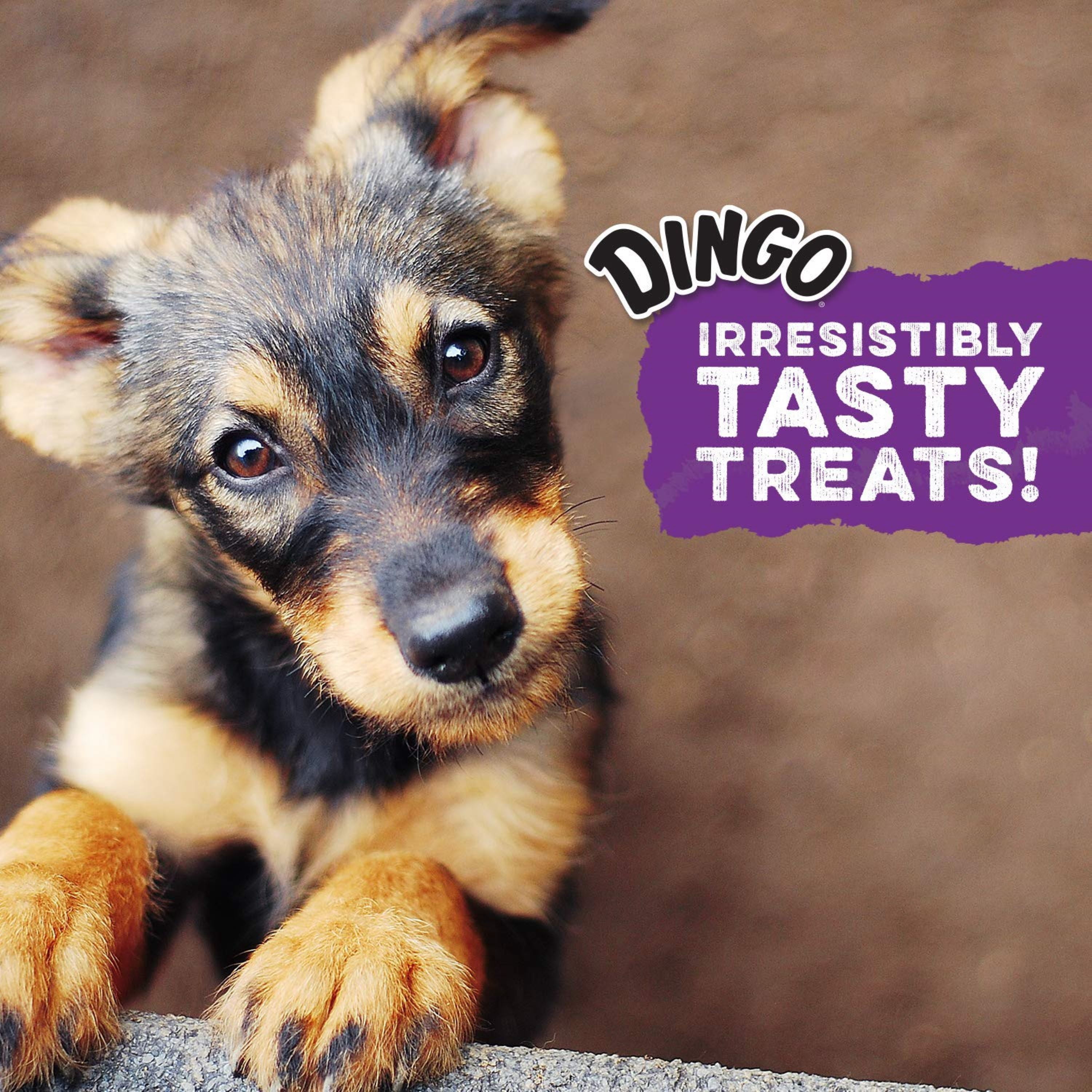 (4 pack) Dingo Wag 'N' Wraps Jumbo Dog Chew with Real Chicken, 2-treats