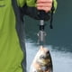 thumbnail image 3 of Clip de control de pesaje para peces, pinza para atrapar peces, pinzas para controlar peces, clip para peces, bloqueo, equipo para pescar peces, 3 of 5