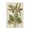 Vintage Tropical Plant Leaf Botanical, variant on Stupell Industries Contemporary Palm Frond Splatter Black Framed Giclee Art, 11 x 14, by June Erica Vess