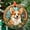 Corgi Stained222, variant on Opossum Ornament Suncatcher, Mouse Window Hanging, Opossum Lover Home Decoration, Indoor Decor, 2025, Holiday Decoration, Seasonal Keepsake Gift, 2025, Holiday Decoration,