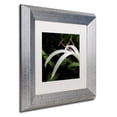 thumbnail image 4 of Trademark Fine Art "Graceful Lily" Canvas Art by Kurt Shaffer, White Matte, Silver Frame, 4 of 4