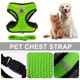 thumbnail image 2 of Arnés para perros y gatos, chaleco de malla para gatitos, correa de plomo para caminar para entrenamiento (verde L), 2 of 5