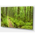 thumbnail image 2 of Chemin Forestier Columbia River, 2 of 3